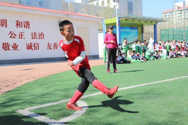 金球奖颁奖现场搞笑乌龙：致敬鲁梅尼格却放错视频